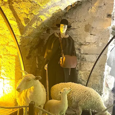 Hébergement de vacances Le Refuge Du Templier *