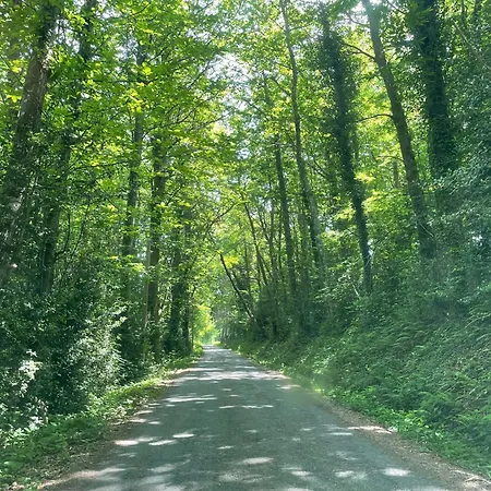 Le Refuge Du Templier Plaisance (Aveyron)